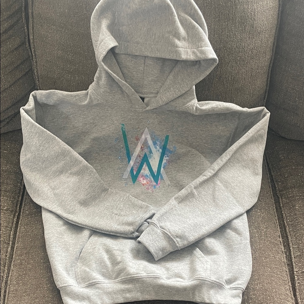 Alan Walker Gray Hoodie with Graphic Logo